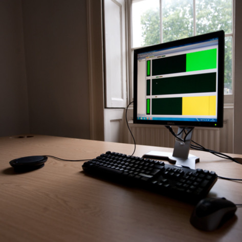 Installation View (Detail)