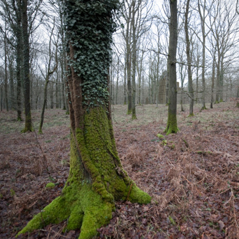 Photomontage of proposed structure