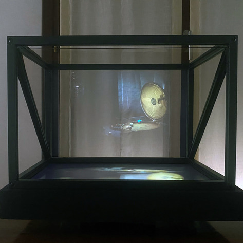 Wunderkammern : Greed Wunderkammern : Greed