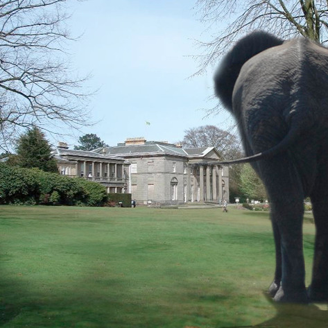 Biennial Invite and Proposal Image for Little Sheep