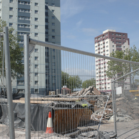 Transitional landscape